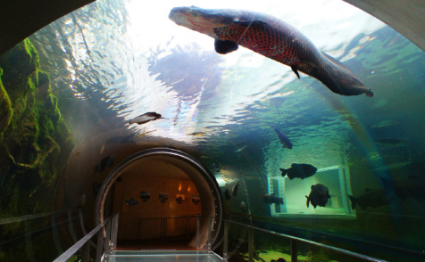 栃木県なかがわ水遊園