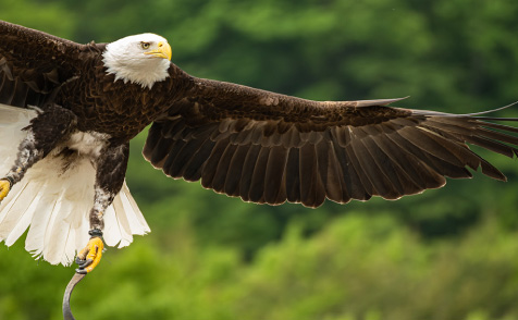 那須どうぶつ王国